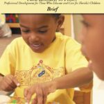 Research to Policy Brief