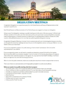 Delegation Meetings_Handout_001