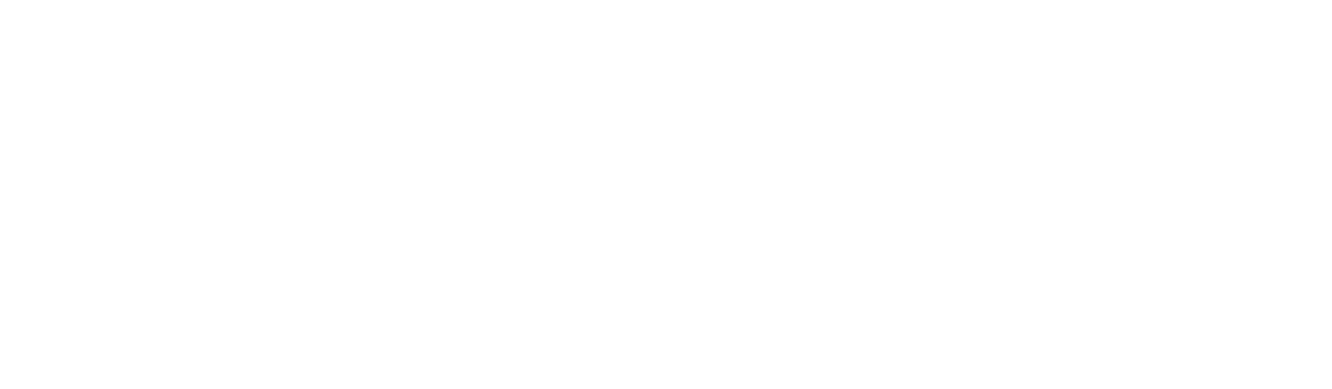 INCENTIVES Florida - A Program of the Children's Forum